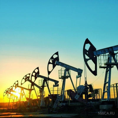 Нефть товарная Пермь
